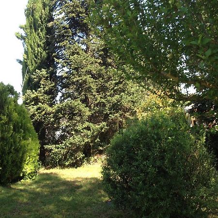Il Belvedere Di Roccavo Villa Castiglion Fiorentino Eksteriør billede