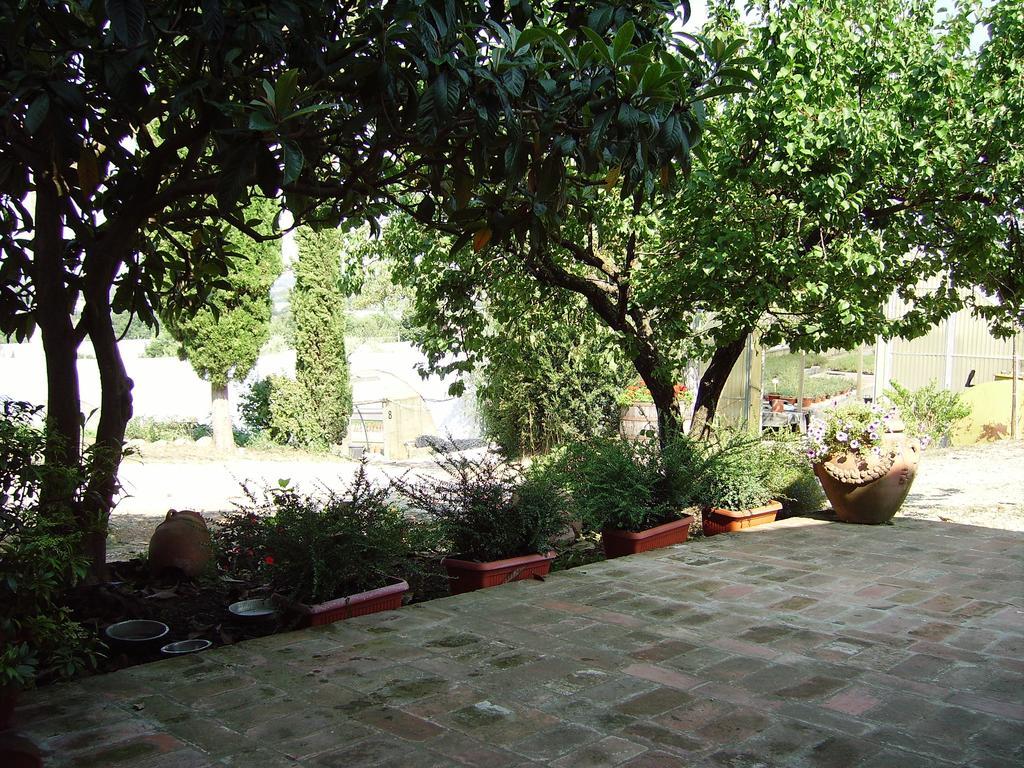 Il Belvedere Di Roccavo Villa Castiglion Fiorentino Eksteriør billede