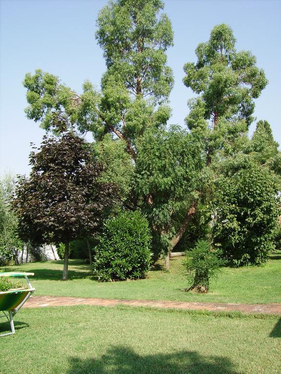 Il Belvedere Di Roccavo Villa Castiglion Fiorentino Eksteriør billede